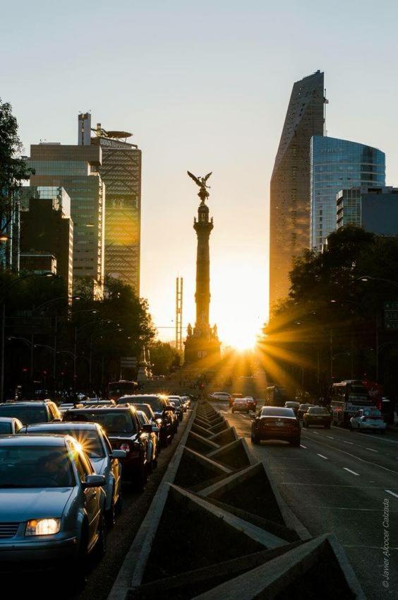 Modern Studio, Rooftop Charm, Cdmx Center2 Mexico By Eksteriør billede